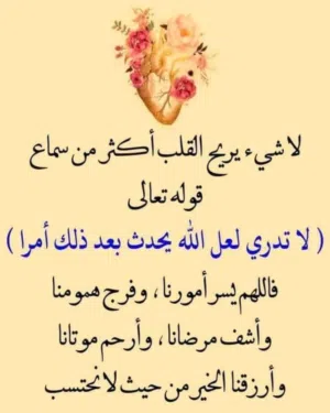 majdi 
