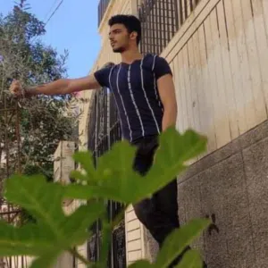 Mohammadalbari 