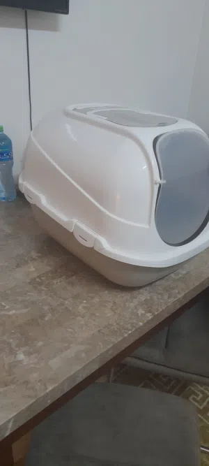 بيت وقطوة أنثى عمر سنه ونص