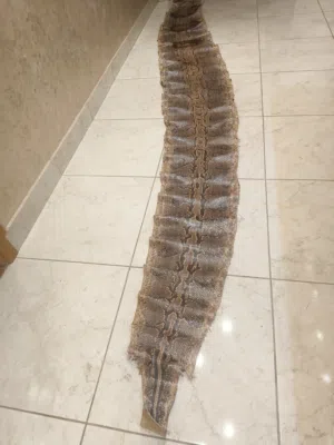 جلد طبيعي  للبيع