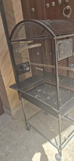 قفص كاسيكو او ببغاوات