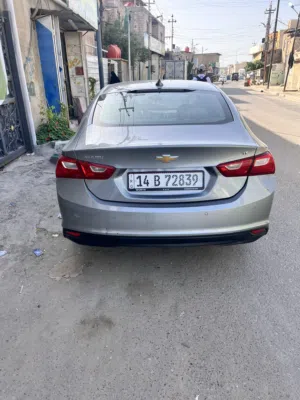 ماليبو 2024 معوقين بصره
