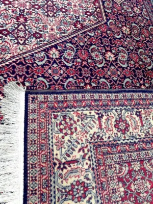 سجاد عجمي ايراني