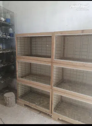 برتيات للبيع العرض نص ميترو وا الطول ميترو