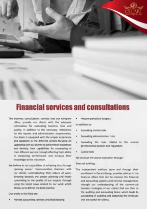محاسب قانوني معتمد Chartered Accountant,دراسة الجدوى ، تصفية الشركات، برامج محاسبية، استشارات ضريبية
