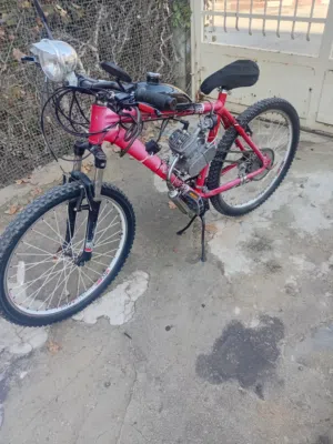 النوع دراجة الشعب