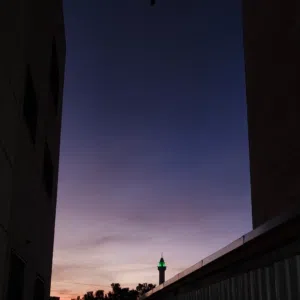 عبود 