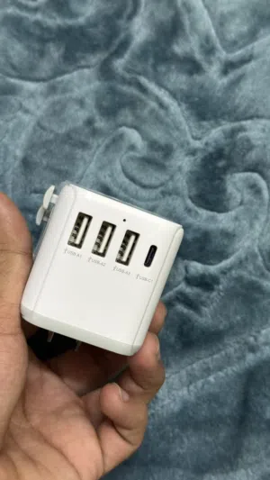 International Charger