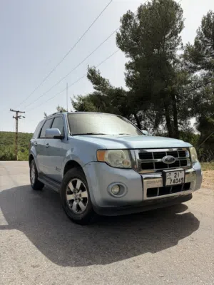Used Ford Escape in Ajloun