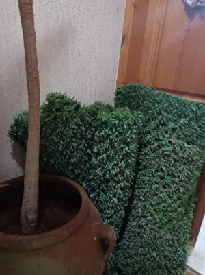 حائط عشب صناعي ديكور منزلي جميل
