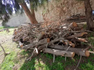 حطب صنوبر للبيع