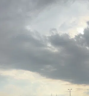 احمد 