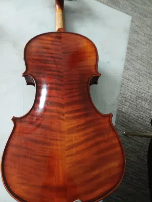 Herman A404 violin