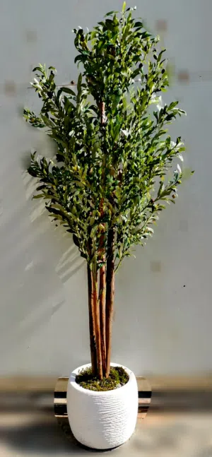 زيتونه اصطناعيه