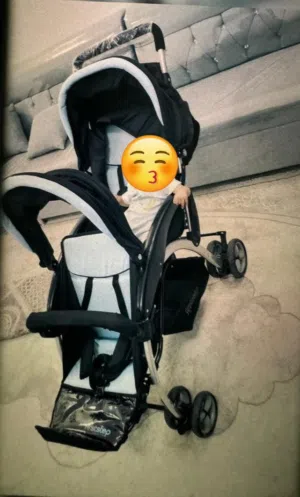عربة الأطفال توام