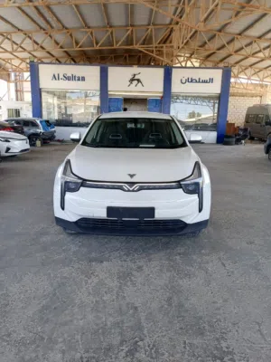 Used Neta U in Zarqa
