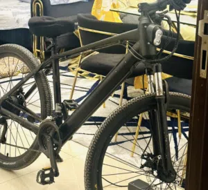 RARE Jetson adventure e bike with expensive 36V battery. I can reduce price