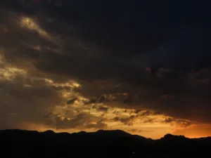 عبدالعزيز صالح احمد 