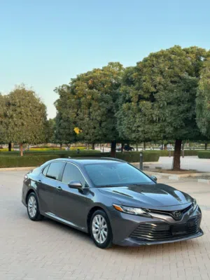 Toyota Camry LE 2020