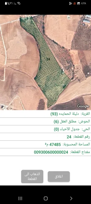 Farm Land for Sale in Madaba Dalilet Al-Hamaideh