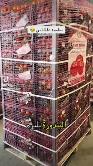 مطلوب ممول لتصدير الخضار والفواكه