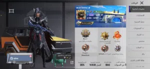 Pubg Accounts and Characters for Sale in Farwaniya