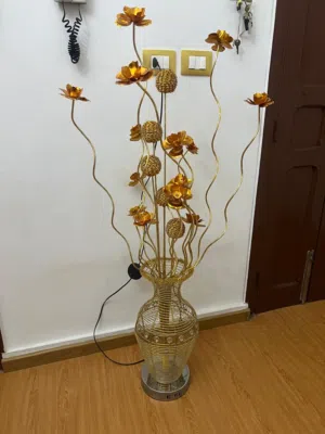 فوانيس مختلفه