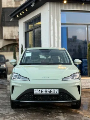 2023 NETA AYA Zero– Full Electric