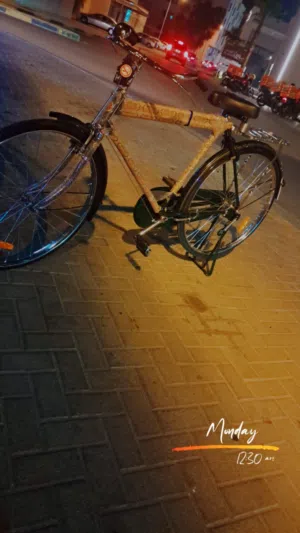 للبيع سيكل ريلي مايشكي من اي مشكله السيكل شبه جديد مستخدم اقل من اسبوع معه قفل اضافي واصلي