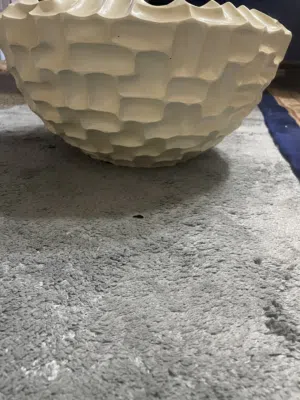 وعاء للنباتات
