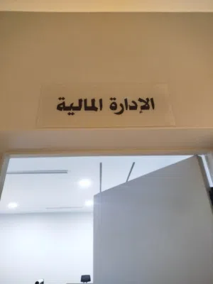 محاسب مالي عام