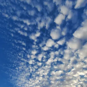 بدر 