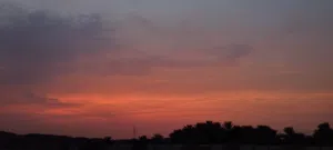 Malik 