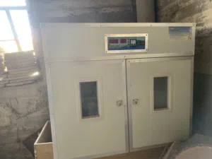 فقاسه حجم كبير