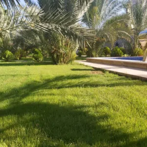 قطعة أرض للبيع في النوفليين جاهزة للبناء تصلح تجارية سكنية موقع ممتاز