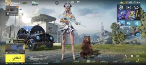 حساب ببجي للبيع اقرا الوصف