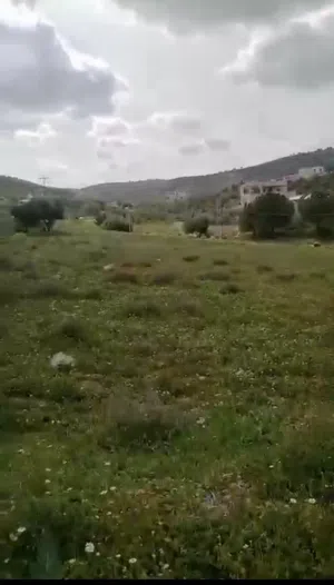 Farm Land for Sale in Zarqa Sarout