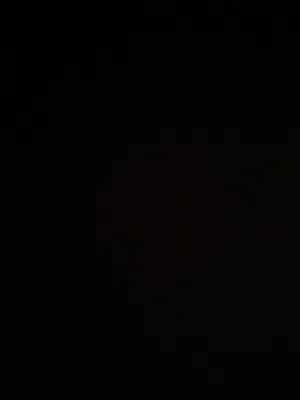 شقه نص فرش الإيجار   3000