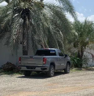 عبدالرشيد النوفلي 
