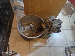 عجانة مع فروش