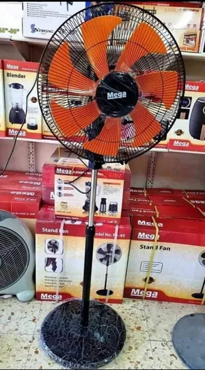 Fans . New1