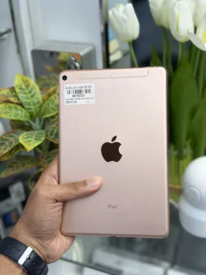 Apple ipad Mini 5 256Gb Wifi+SIM Clean fantastic less use