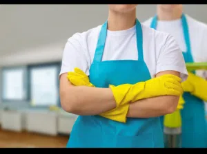 يوجد عاملات من الجنسيه مينمار نيبال نبحث عن عقود حاضانات اطفال او مدارس خاصه او فنادق او بنايات