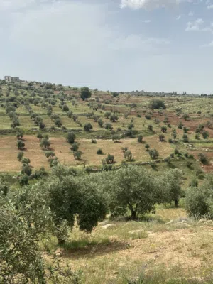 Farm Land for Sale in Salt Seehan