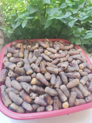 تمر نغال (جريجرو)