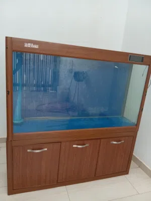 حوض سمك بيولوجي مستعجل