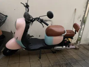 Electric scooter