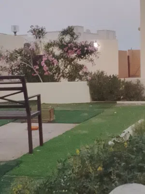 بيت عربي للايجار اليومي والاسبوعي والسنوي