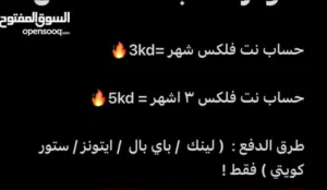 Netflix Accounts and Characters for Sale in Hawally