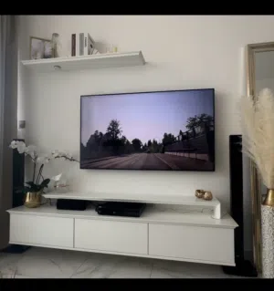 TV Unit without TV